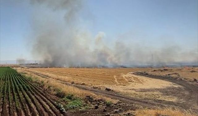 Diyarbakır'da 500 Dekar Alanı Etkileyen Yangın Söndürüldü