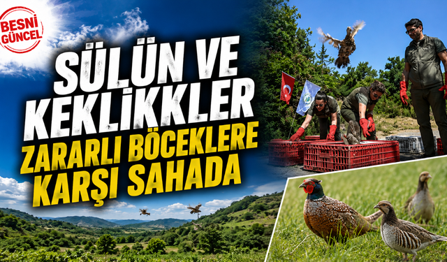 Erbaa'da 1500 Sülün ve Keklik Doğayla Buluştu