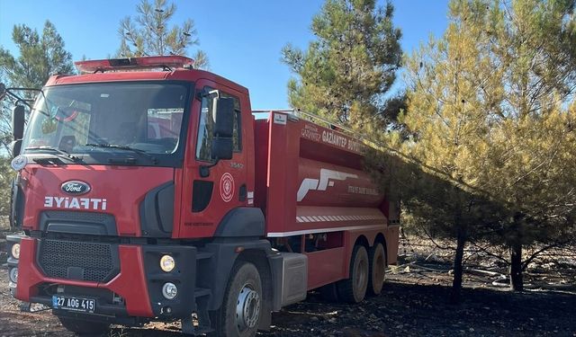 Gaziantep orman yangını kontrol altına alındı