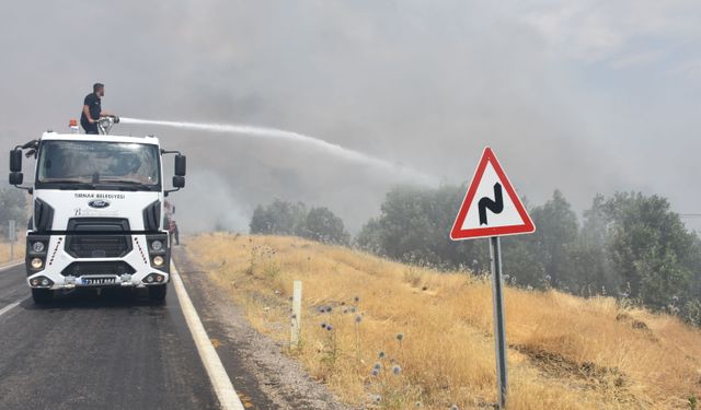 Şırnak'ta Orman Yangını Kontrol Altına Alındı
