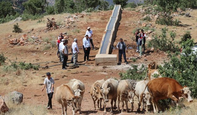 Siirtli Besiciler Modern Meralarda Faaliyet Yürütüyor