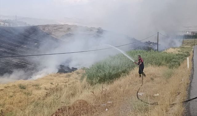 Siirt'te anız yangını çıktı, ekipler söndürdü