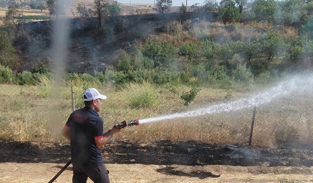 Kurtalan'da Anız Yangını Meyve Ağaçlarına Sıçradı
