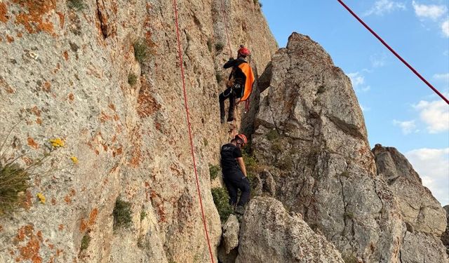 Şırnak'ta Mahsur Kalan Keçileri AFAD Kurtardı