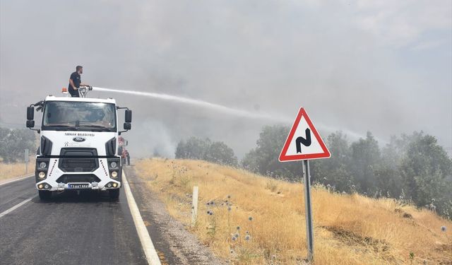 Şırnak'ta orman yangınına müdahale sürüyor