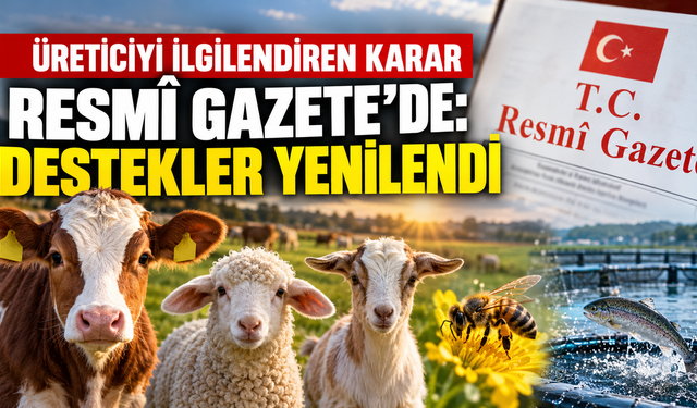 Kuzu, Oğlak, Arı ve Buzağı Destekleri Artırıldı: İşte Yeni Tutarlar
