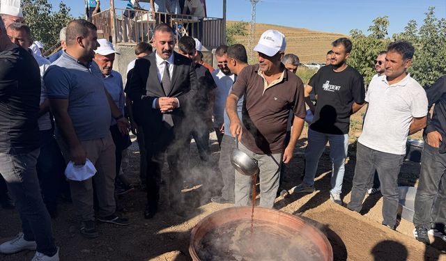 Adıyaman'da Bağ Bozumu Festivali düzenlendi