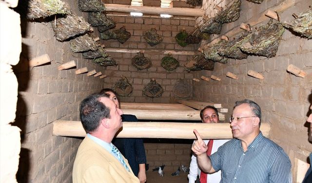 Diyarbakır'da Geleneksel Güvercin Evi Açıldı