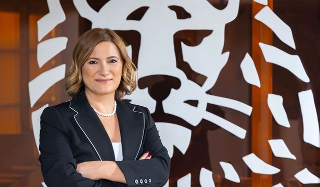 ING Türkiye'den Girişimcilere Özel Destek Paketi