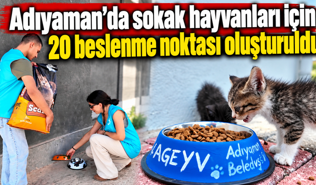 4 Ekim öncesi sokak hayvanlarına mama ve su desteği