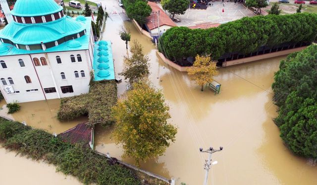 Acarlar Longozu'nda Su Yükseldi, Mahalle Yolu Kapandı