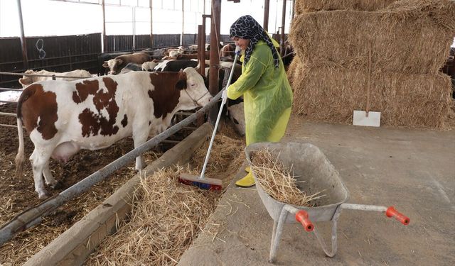 Gaziantepli Kadın Girişimci Entegre Tesis Kurmayı Hedefliyor