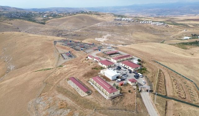 Siirt Valisi Kızılkaya, Sokak Hayvanları Bakım ve Rehabilitasyon Merkezi'ni ziyaret etti