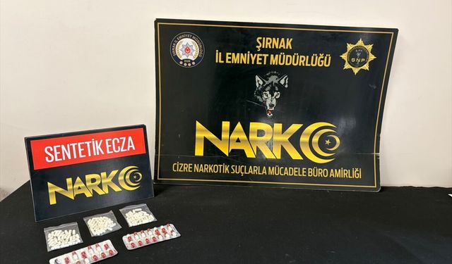 Şırnak'ta kaçakçılık ve asayiş operasyonlarında 20 şüpheli hakkında işlem yapıldı