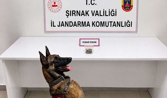 Şırnak'ta Operasyonlarda 3 Şüpheli Hakkında İşlem Yapıldı