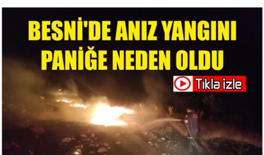 Besni'de Anız Yangını Paniğe Neden Oldu