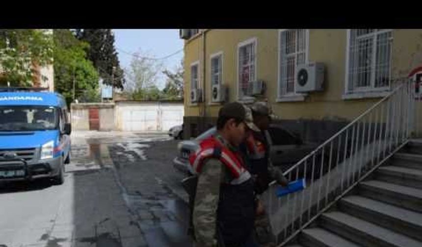 Besni'de Hayvan Hırsızları Tutuklandı