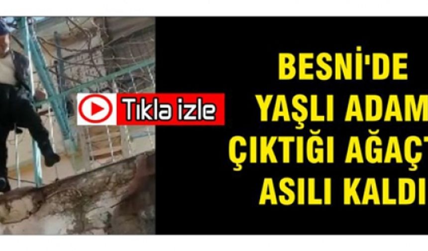 Besni'de Yaşlı Adam Çıktığı Ağaçta Asılı Kaldı