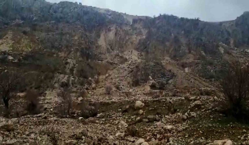 Dağdan kopan kaya parçaları Tut halkını tedirgin ediyor