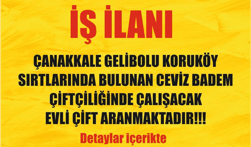 İŞ İLANI