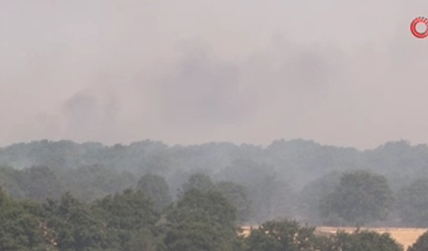 Türkiye-Bulgaristan sınırındaki orman yangını köylere sıçramadan söndürüldü