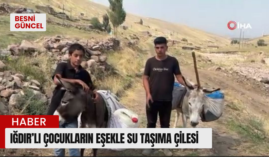 Iğdırlı çocukların eşekle su taşıma çilesi