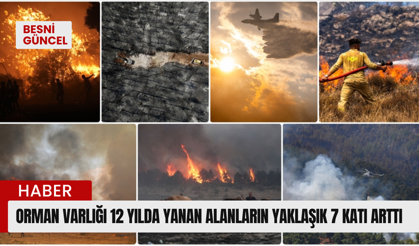 Orman varlığı 12 yılda yanan alanların yaklaşık 7 katı arttı