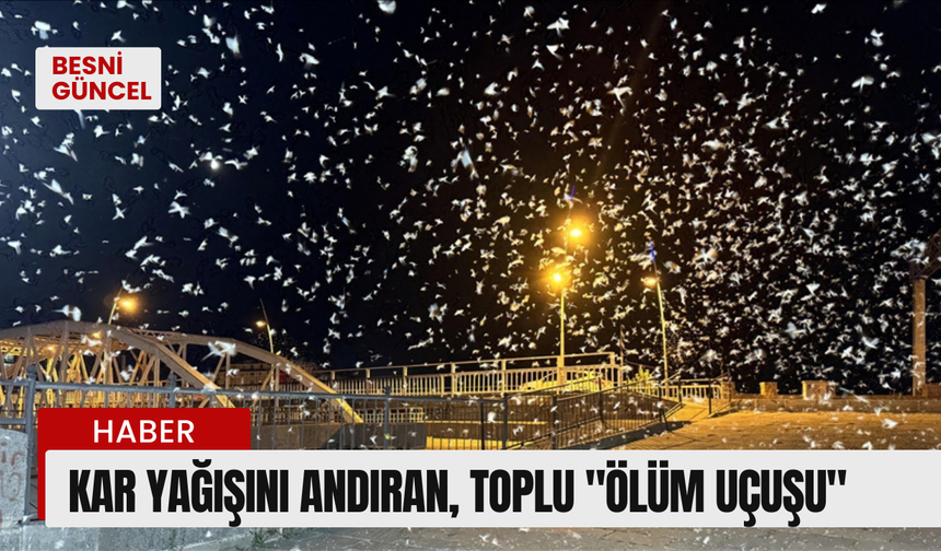 Kar yağışını andıran, Toplu "ölüm uçuşu"