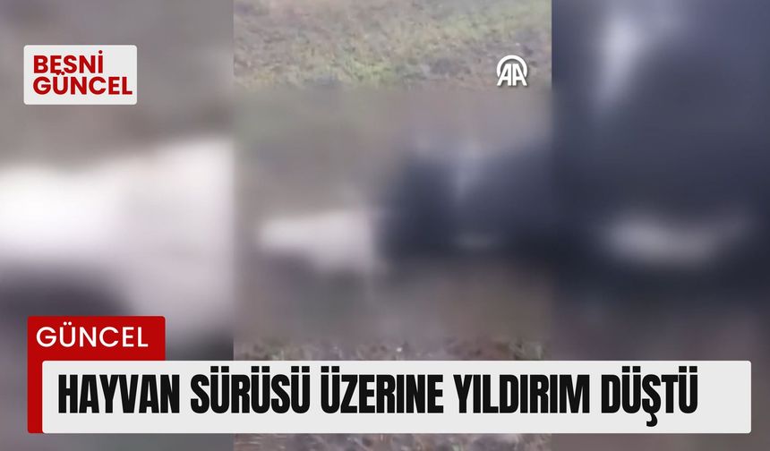 Hayvan sürüsü üzerine yıldırım düştü