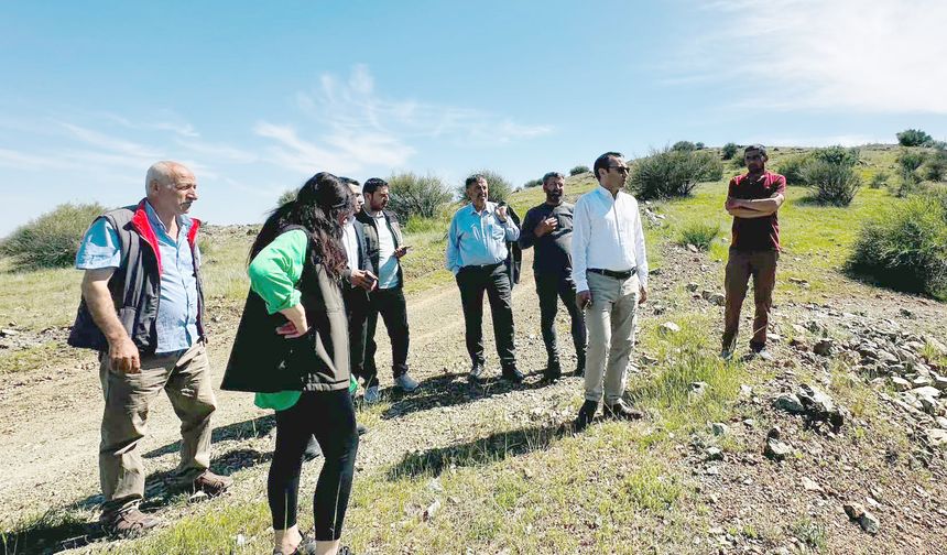 Besni’de Devasa Ağaçlandırma Projesi hayata geçiyor