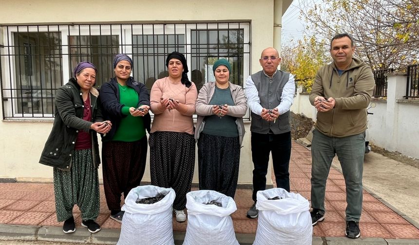 Şehitler anısına dikilen meyveler ihtiyaçları karşılayacak.