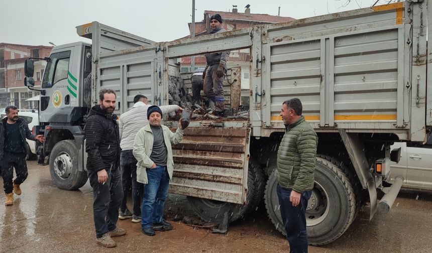 Çelikhan’da 5 bin tüplü fidan dağıtımı yapıldı