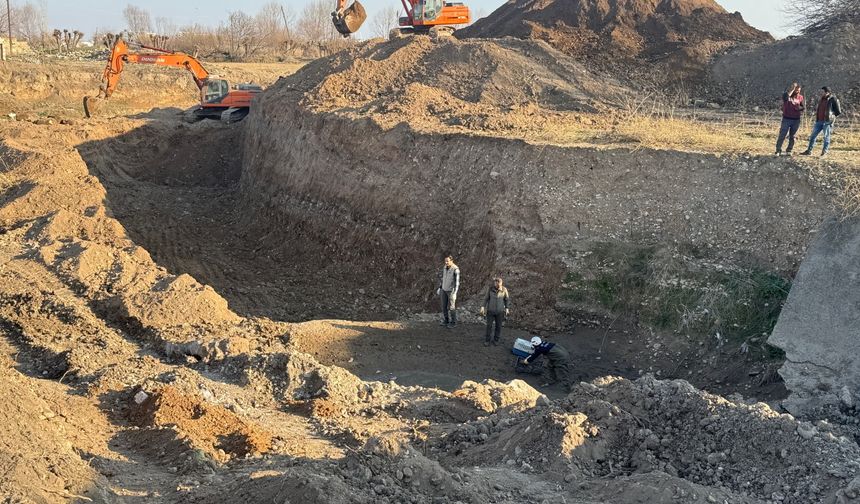 Şanlıurfa'da dereden kurtarılan kaplumbağalar.