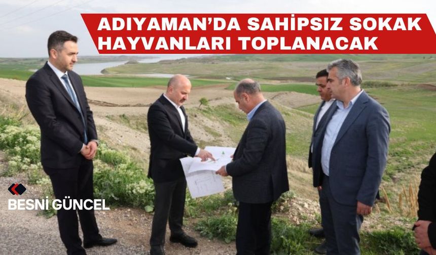 Adıyaman genelinde sahipsiz sokak hayvanları toplanacak