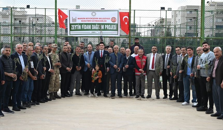 Nusaybin'de çiftçilere 8 bin zeytin fidanı dağıtıldı