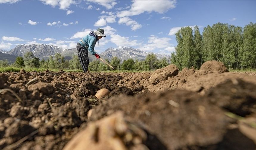 Çiftçilere 3,3 milyar lira destek ödemesi bugün yapılacak