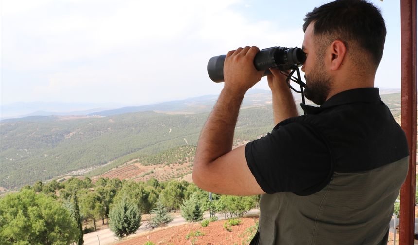 Kilis'te orman yangınlarına karşı denetim yapılıyor