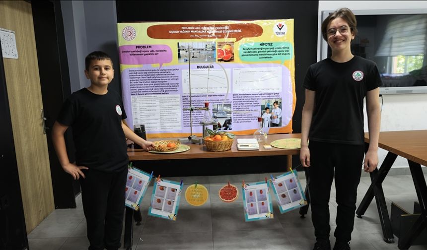Öğrencilerden mandalinanın raf ömrünü uzatan "doğal solüsyon"