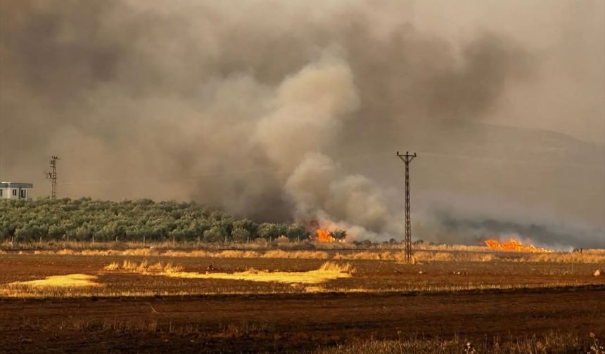 Buğday ekili tarlada yangına müdahele ediliyor