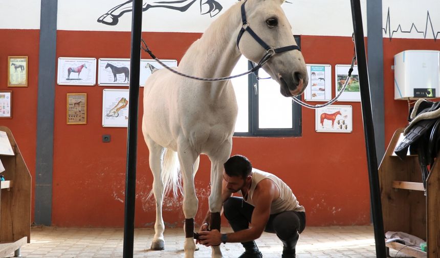 Hobi olarak biniciliğe başlayan doktor lisanslı sporcu oldu