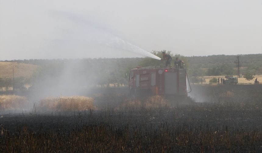 Kilis'te yangında 150 dönümlük buğday tarlası zarar gördü