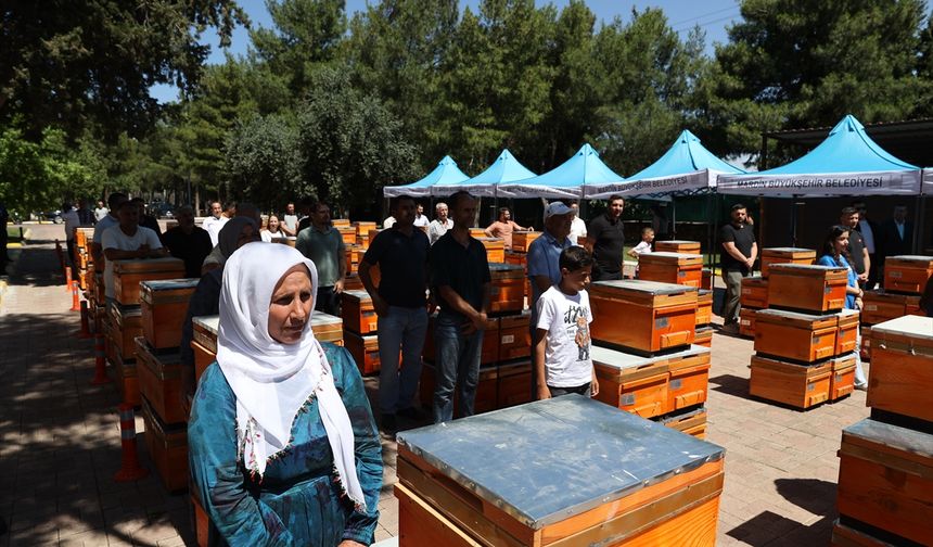 Üreticilere yüzde 75 hibe ile 4 bin arı kovanı dağıtıldı