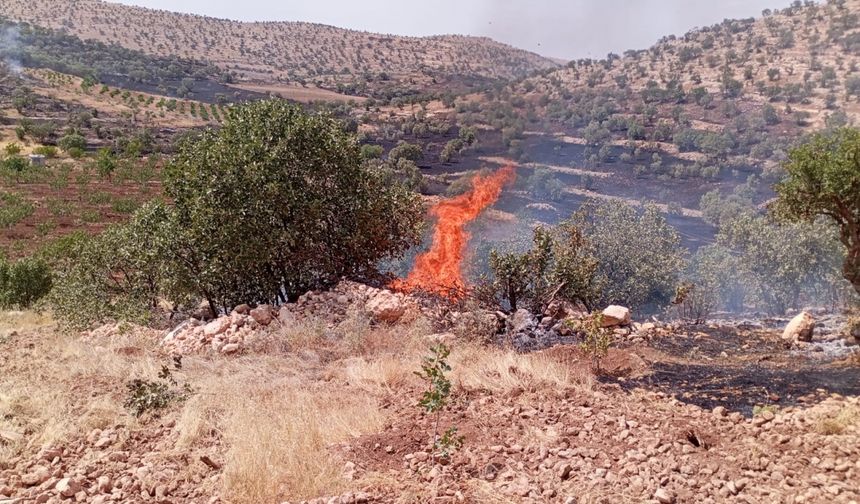 Savur ve Kızıltepe'de çıkan yangınlar söndürüldü