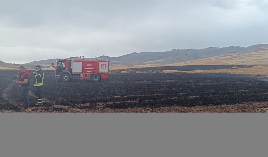 Yıldırım düştü arazideki mahsul zarar gördü