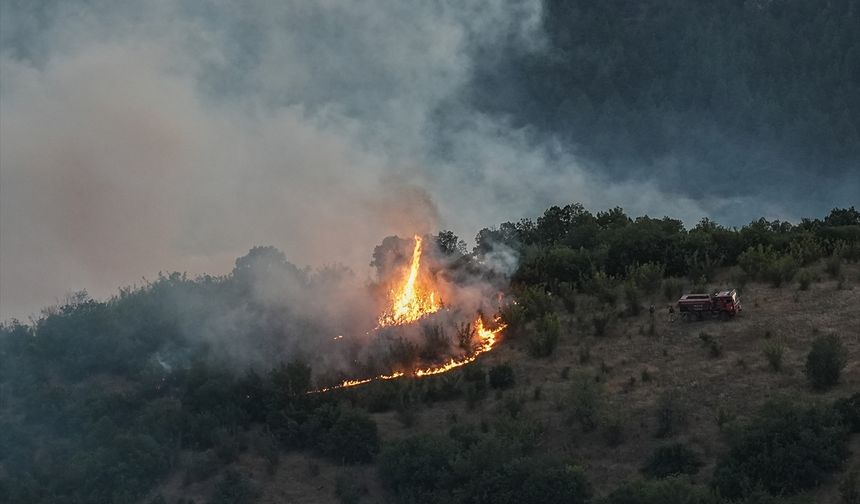Bursa-Balıkesir sınırında çıkan orman yangını çıktı