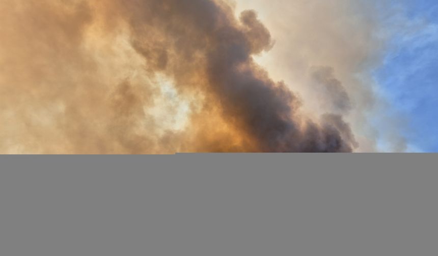 Manisa'da çıkan 2 orman yangınına müdahale ediliyor