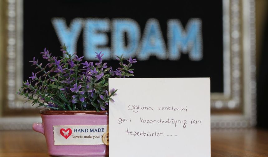 Yeşilay'ın danışma hattına başvuru 1,5 milyona yaklaştı