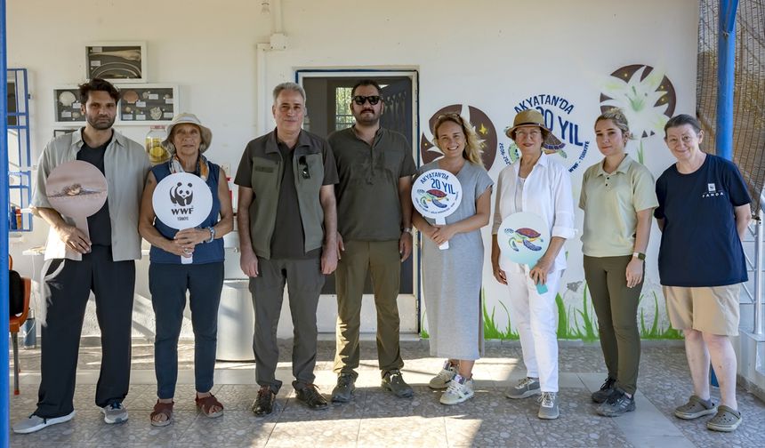 Akyatan’da 20 Yılda 270 Bin Kaplumbağa Denize Ulaştı