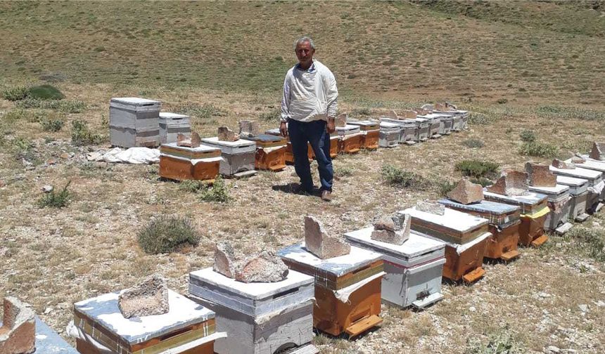 Besni’de Sıcak Hava Dalgası Arıları ve Petekleri Vurdu