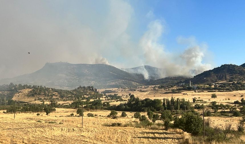 Ormanlık alanda çıkan yangınlara müdahale ediliyor